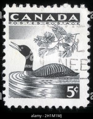 Stempel gedruckt von Kanada, zeigt Loon, um 1957 Stockfoto