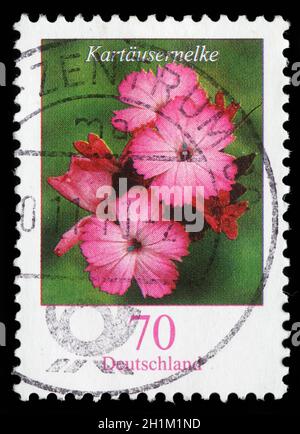 Die in der Bundesrepublik Deutschland gedruckte Briefmarke zeigt Dianthus carthusianorum, Serie, um 2006 Stockfoto