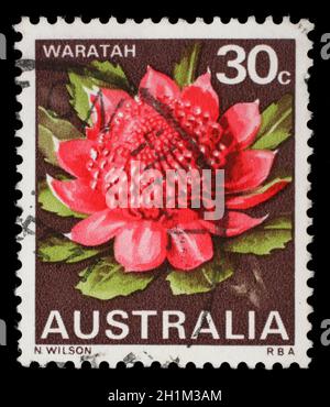 Stempel gedruckt in den Australien zeigt Waratah, New South Wales, Blume, ca. 1968 Stockfoto