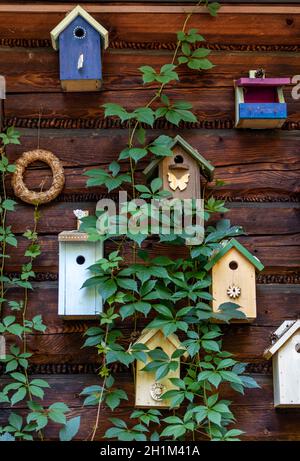 Alte dekorative Vogelfutterhäuschen und hölzerne Vogelhäuser Stockfoto