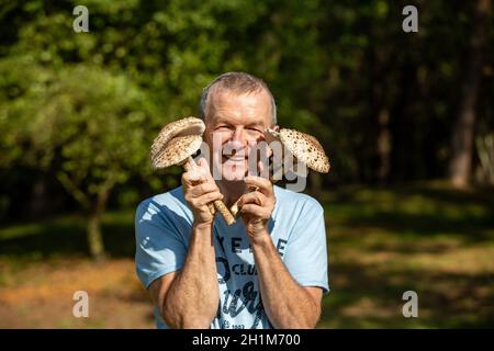 Jantar, Polen - 11. September 2020: Reifer Sonnenpilz Macrolepiota procera oder Lepiota procera in der Hand des Pilzsammler Stockfoto