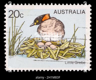 Stempel gedruckt in Australien zeigt die Zwergtaucher Tachybaptus ruficollis Dabchick oder - auf dem Nest, ca. 1978 Stockfoto