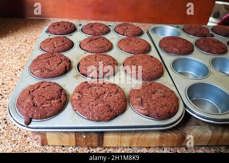 Ein Tablett voller Schokolade Zucchini Muffins. Stockfoto