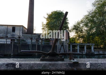 Pappelhain in der italienischen Landschaft im Herbst bei Sonnenuntergang Zeit Stockfoto