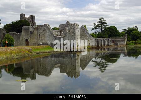 Das Desmond Castle liegt am Rande des Dorfes Adare, direkt an der N21 an der Hauptstraße Limerick nach Kerry. Stockfoto