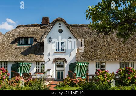 Typisch friesisches Haus in Nebel auf der Insel Amrum, Nordfriesland, Schleswig-Holstein, Deutschland Stockfoto