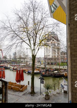 Blick von den Cubus Häusern über den Alten Hafen zum Weißen Haus - Rotterdam Stockfoto