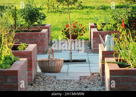 Ein moderner Gemüsegarten mit erhöhten Briks Betten. .Hochbetten Gartenarbeit in einem städtischen Garten Pflanzen Kräuter Gewürze Beeren und Gemüse. Stockfoto