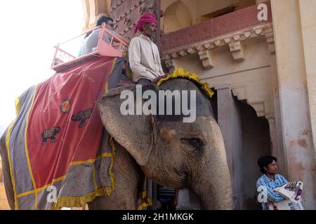 Dekoriert Elefanten tragen Touristen in Amber Fort in Jaipur, Rajasthan, Indien Stockfoto