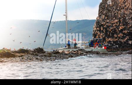 Kamtschatka, Russland - 20. Juli 2019: Touristen auf einer Bootsfahrt auf einer Yacht in der Nähe der Insel, die die Seelöwen beobachten. Stockfoto