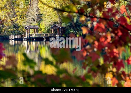 Legen Sie im Herbst am Balsam Lake an - Roy Taylor Forest im Nantahala National Forest, Kanada, North Carolina, USA Stockfoto