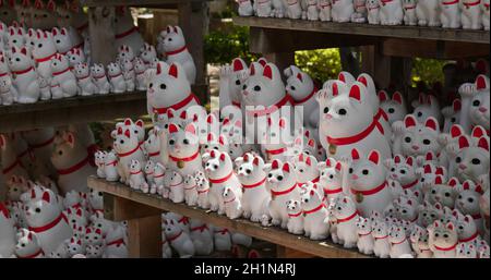 Traditioneller Tempel Gotokuji Schrein in Japan Stockfoto