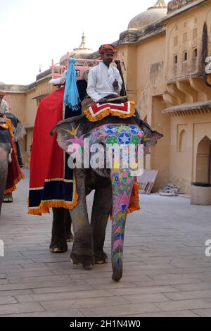 Dekoriert Elefanten tragen Touristen in Amber Fort in Jaipur, Rajasthan, Indien Stockfoto