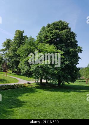 Kurpark, Bad Schwalbach Stockfoto