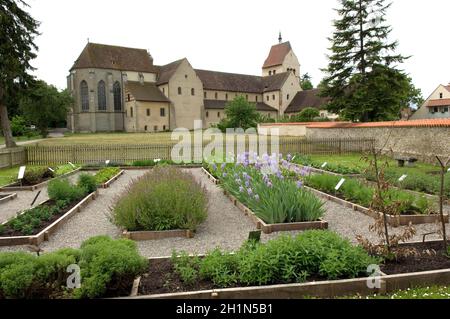 Kräutergarten im Klostergarten von Marienmünster auf Reichenau Stockfoto