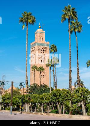 Palmen vor der Koutoubia Moschee (Kutubiyya Moschee) - die größte Moschee in Marrakesch, Marokko, Afrika Stockfoto