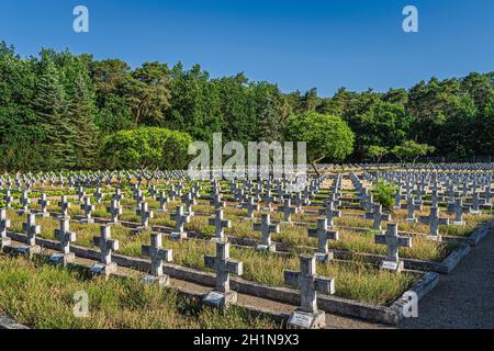 Stare Lysogorki, Polen, Juni 2019 Reihen von Gräbern auf dem Militärfriedhof für gefallene Soldaten der 1. Polnischen Armee, die an der Überquerung von teilgenommen haben Stockfoto