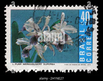 Stempel von Brasilien gedruckt zeigt Brasilianischen Orchideen Cattleya purpurata var. werkhauserii, circa 1971. Stockfoto