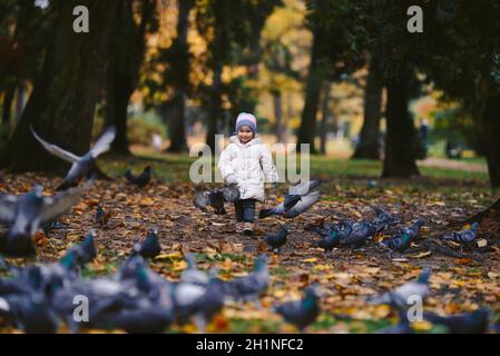 Junge blonde Mädchen jagen Vögel im Park, Herbst Stockfoto