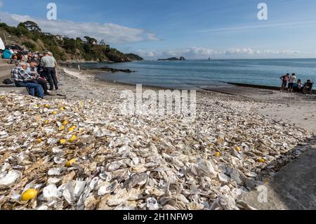 Cancale, Frankreich - 15. September 2018: Tausende von leeren Schalen von gegessen Austern auf Meeresboden in Cancale, berühmt für Auster Betriebe verworfen. Bretagne Stockfoto