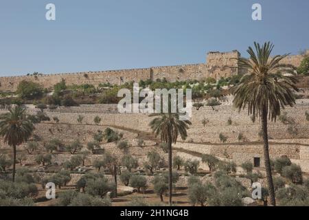 Terrassen des Kidron-Tals und die Mauer der Altstadt in Jerusalem in Israel. Stockfoto