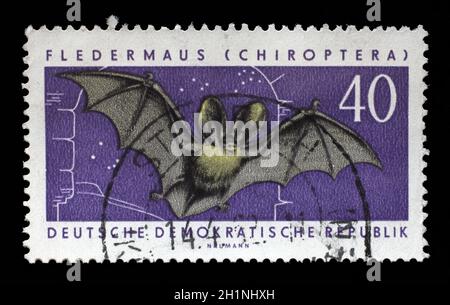 Stempel gedruckt in der Deutschen Demokratischen Republik zeigt das Bild eines fliegenden Mäuse, circa 1958. Stockfoto