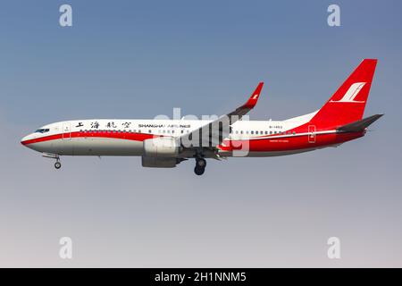 Shanghai, China - 28. September 2019: Boeing 737-800 von Shanghai Airlines am Flughafen Shanghai Hongqiao in China. Boeing ist ein amerikanisches Flugzeug Stockfoto