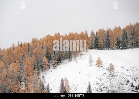 Winterlandschaft in Kanas, Provinz Xinjiang, China. Stockfoto