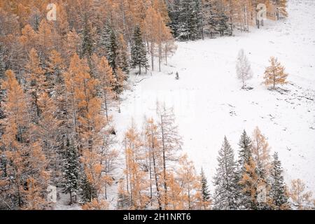 Winterlandschaft in Kanas, Provinz Xinjiang, China. Stockfoto