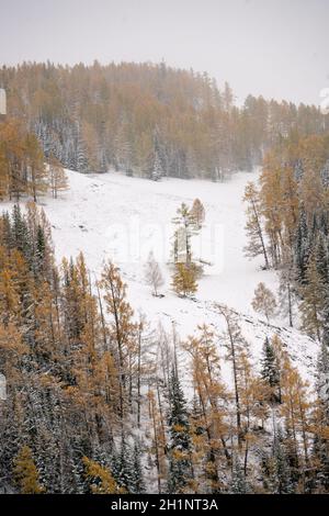 Winterlandschaft in Kanas, Provinz Xinjiang, China. Stockfoto