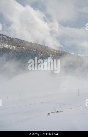 Winterlandschaft in Kanas, Provinz Xinjiang, China. Stockfoto