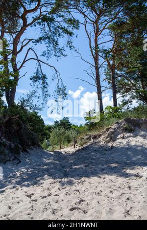 Zugang zum Strand über eine Sanddüne Sommer Stockfoto