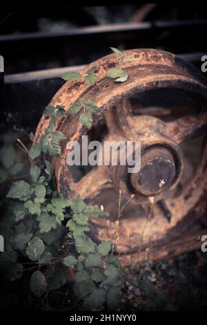 Nahaufnahme der rostigen Metallräder eines verlassenen Wagens, mit einigen Pflanzen wachsen. Stockfoto