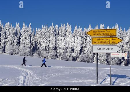 Schneebedeckte Bäume im Astenmassiv im Rothaargebirge vor blauem Winterhimmel mit Wanderern und Verkehrsschildern . Der Kahle Asten im Astenmassiv ist Stockfoto