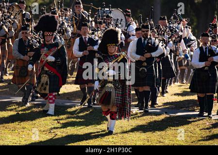 Stone Mountain, Georgia, USA. Oktober 2021. Senior Drum Major Kevin Conquest führt massierte Pfeifenbands für Abschlusszeremonien bei den GeorgiaÃs Stone Mountain Scottish Highland Games an, die nach zweijähriger Pause am 16. Oktober wieder aufgenommen werden. (Bild: © Robin Rayne/ZUMA Press Wire) Stockfoto