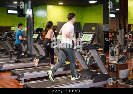 Eine Gruppe von Leuten, die in einem modernen Sportstudio auf Laufbändern laufen. Hochwertige Fotos Stockfoto