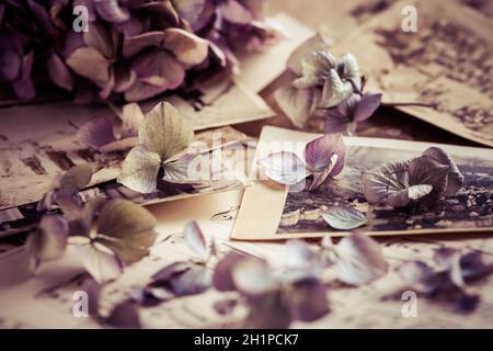 Erinnerungen - alte und antike Familienfotos aus dem Jahr 1930 mit altem Fotoalbum und Musiknoten mit getrockneten Blumen im Vintage-Stil Stockfoto