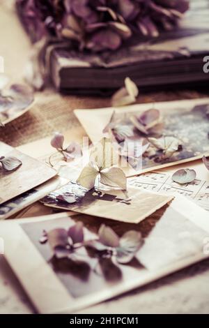 Erinnerungen - alte und antike Familienfotos aus dem Jahr 1930 mit altem Fotoalbum und Musiknoten mit getrockneten Blumen im Vintage-Stil Stockfoto