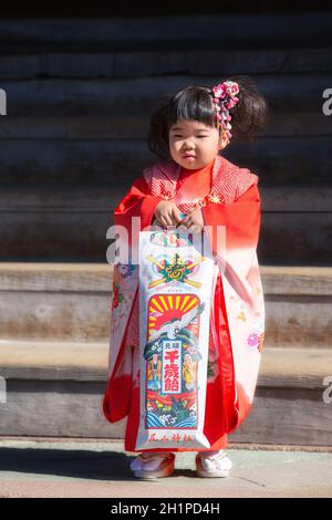 Kanazawa, Japan - 15. November 2018: Japanisches Mädchen mit Geschenk, das während des Shichi-Go-San-Tages im Oyama Jinja-Schrein posiert. Shichi-Go-Sun ist jährlich Festival d Stockfoto