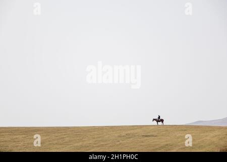 Ein einäugige Hirte auf einem Hügel grast eine riesige Herde Schafe und kleine Widder auf der Wiese. Herbstlandschaft mit Tieren. Entwicklung der Tierhaltung in der Welt Stockfoto