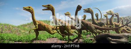 Compsognathus longipes, Gruppe von Dinosauriern aus der späten Jurazeit Stockfoto