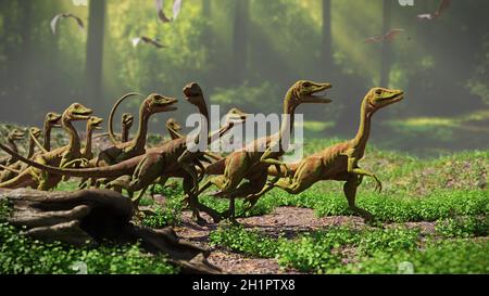 Compsognathus longipes im Wald, Gruppe von Dinosauriern aus der späten Jurazeit Stockfoto