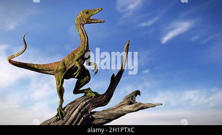 Compsognathus longipes, kleine Dinosaurierarten aus der späten Jurazeit, Hintergrund Stockfoto