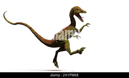 Compsognathus longipes, ein winziger Dinosaurier aus der späten Jurazeit, isoliert auf weißem Hintergrund Stockfoto