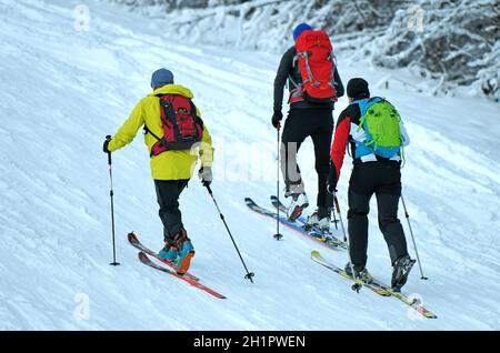 Schitoureneher auf dem Kasberg (Bezirk Gmunden, Oerreich, Österreich) - Skitourengeher auf dem Kasberg (Kreis Gmunden, Oberösterreich, Österreich) Stockfoto