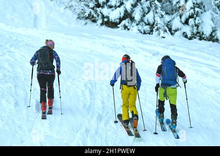 Schitoureneher auf dem Kasberg (Bezirk Gmunden, Oerreich, Österreich) - Skitourengeher auf dem Kasberg (Kreis Gmunden, Oberösterreich, Österreich) Stockfoto