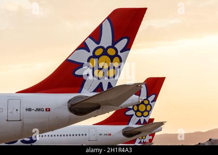 Zürich, Schweiz - 22. Juli 2020: Airbus A340 von Edelweiss am Flughafen Zürich in der Schweiz. Stockfoto