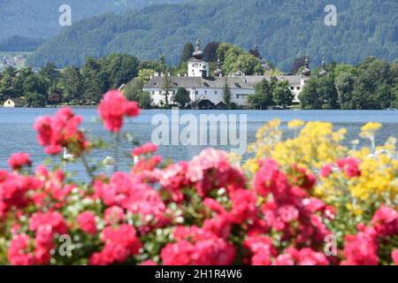 Das Seeschloss Ort am Traunsee in Gmunden mit Blumen und Schwänen, Salzkammergut, Bezirk Gmunden, Oberösterreich, Österreich, Europa - das Seenschloss Stockfoto