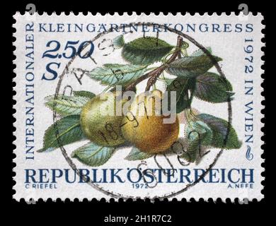 Briefmarke gedruckt in Österreich, gewidmet der Internationalen Gartenschau, Wien, zeigt Birnen auf einem Ast, ca. 1972 Stockfoto