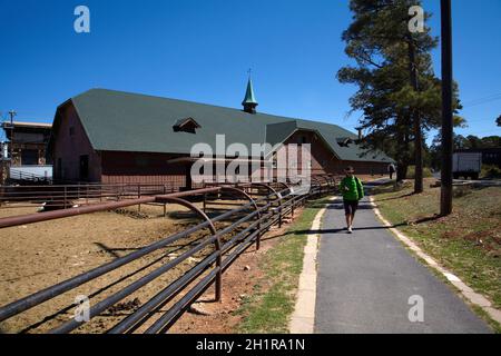 Historische El Tovar Stables (1904), Grand Canyon Village, South Rim, Grand Canyon National Park, Arizona, USA (Model Release) Stockfoto